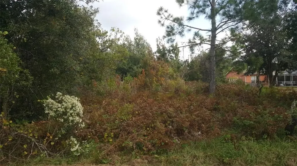 1009 Coatbridge Drive Kissimmee FL 34758