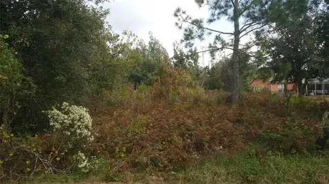 1009 Coatbridge Drive Kissimmee FL 34758