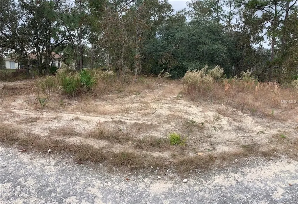 16418 Mercer Road Weeki Wachee FL 34614