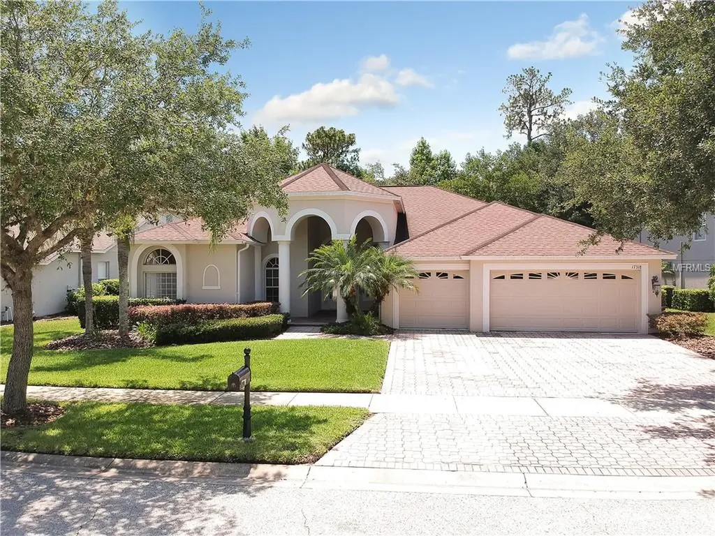 17318 Emerald Chase Drive Tampa FL 33647