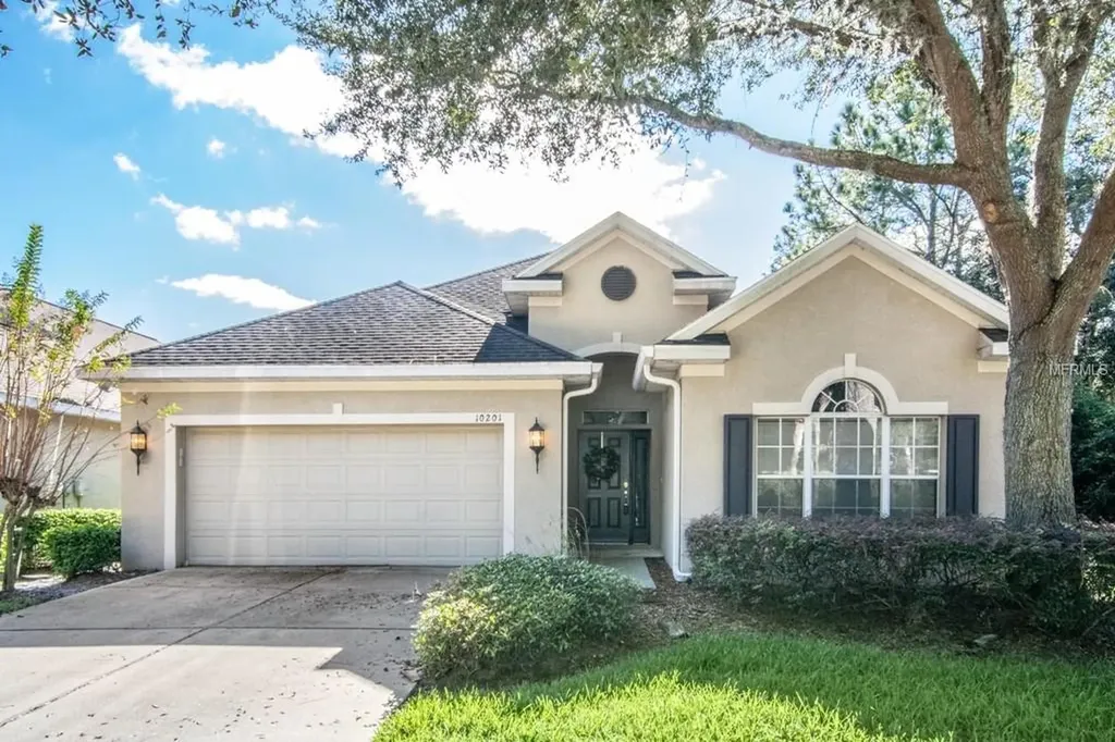 10201 Evergreen Hill Drive Tampa FL 33647