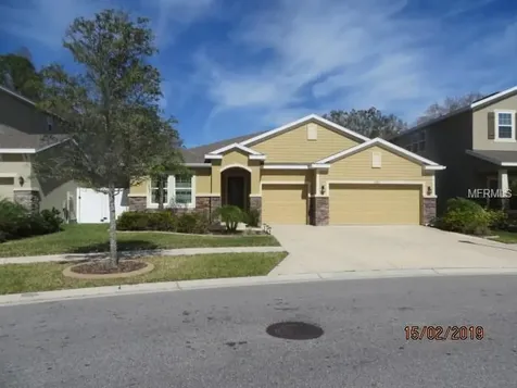 13420 Canopy Creek Drive Tampa FL 33625