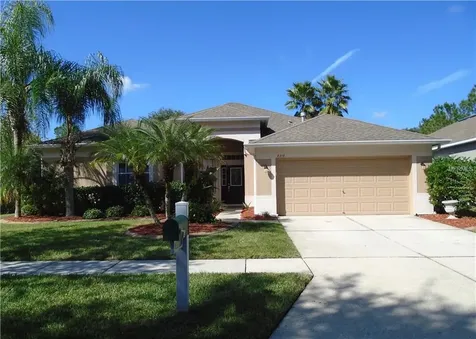 8218 Swann Hollow Drive Tampa FL 33647