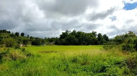 State Road Pr-2 Km. 94.0 Camuy PR 00627