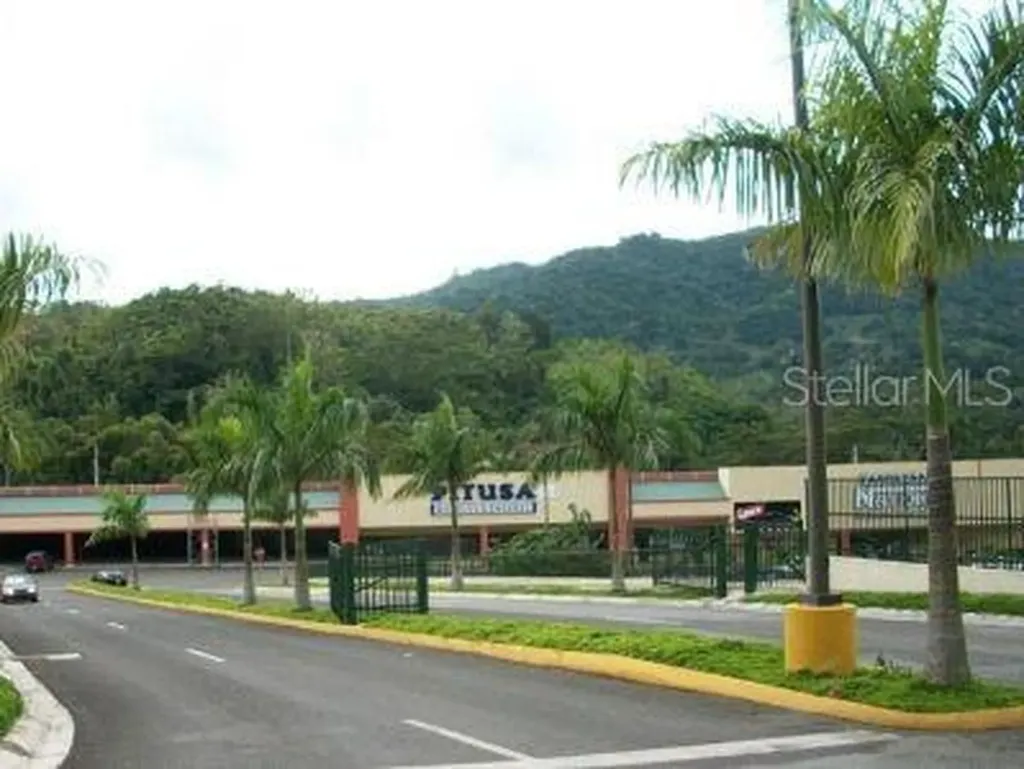 10 Pr-10 Adjuntas PR 00601