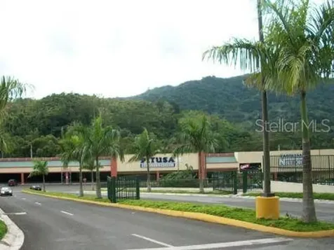 10 Pr-10 Adjuntas PR 00601