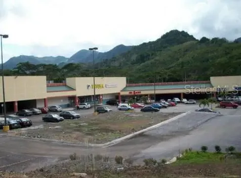10 Pr-10 Adjuntas PR 00601