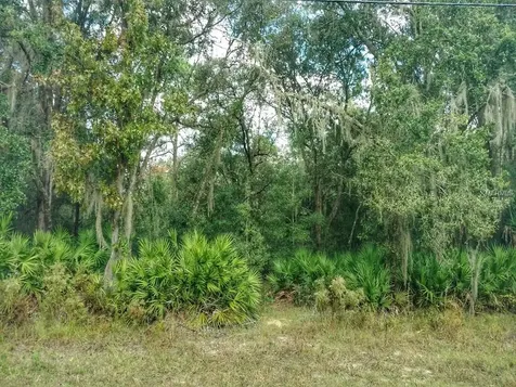 9233 W Chata Place Crystal River FL 34428