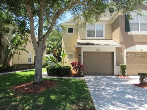 8502 Sandy Beach Street Tampa FL 33634