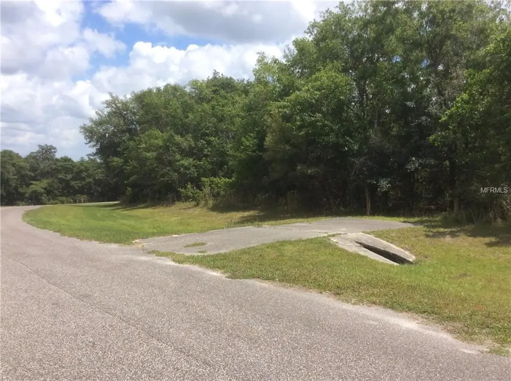 23330 June Bug Trail Brooksville FL 34602