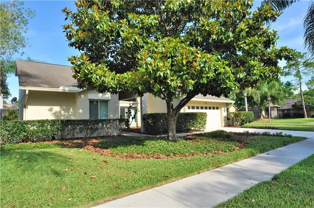 3252 Glenridge Court Palm Harbor FL 34685