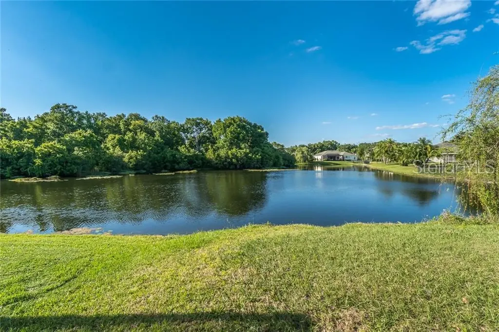 21238 Preservation Drive Land O Lakes FL 34638
