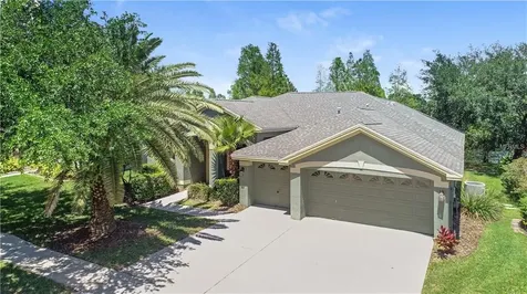 10304 Millport Drive Tampa FL 33626