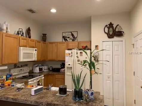 6132 Chapledale Drive Orlando FL 32829