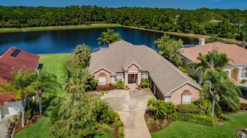4528 Rutledge Drive Palm Harbor FL 34685