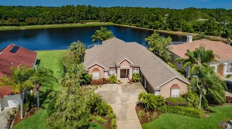 4528 Rutledge Drive Palm Harbor FL 34685