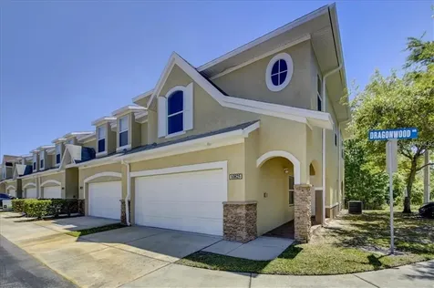 10825 Dragonwood Drive Tampa FL 33647