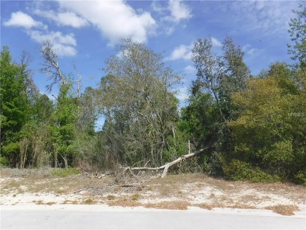7495 Birdland Crescent Spring Hill FL 34607