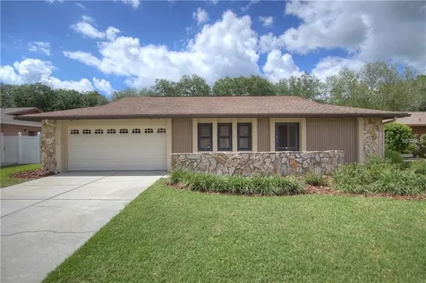 4205 Hollowtrail Drive Tampa FL 33624