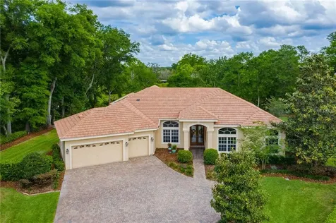 2509 Summer Snow Drive Lutz FL 33559