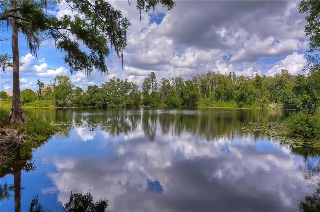 6807 Lockington Court Tampa FL 33625