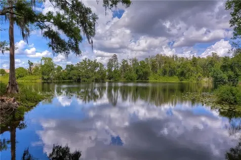 6807 Lockington Court Tampa FL 33625