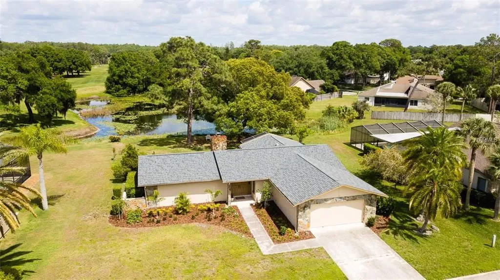 2207 Toniwood Lane Palm Harbor FL 34685