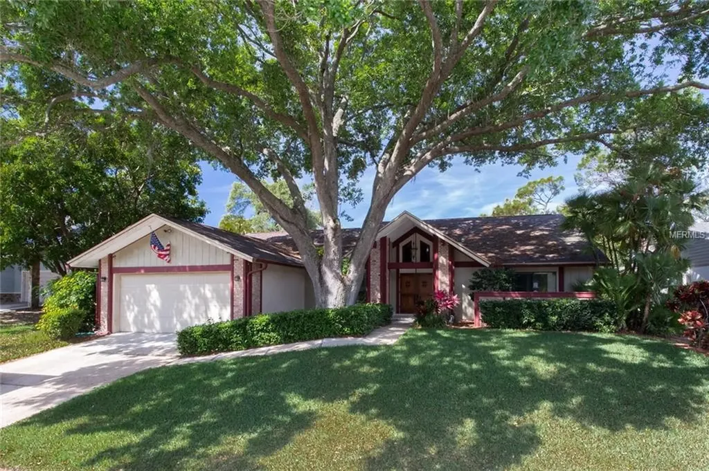 1144 Eniswood Parkway Palm Harbor FL 34683