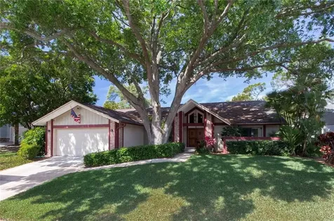 1144 Eniswood Parkway Palm Harbor FL 34683