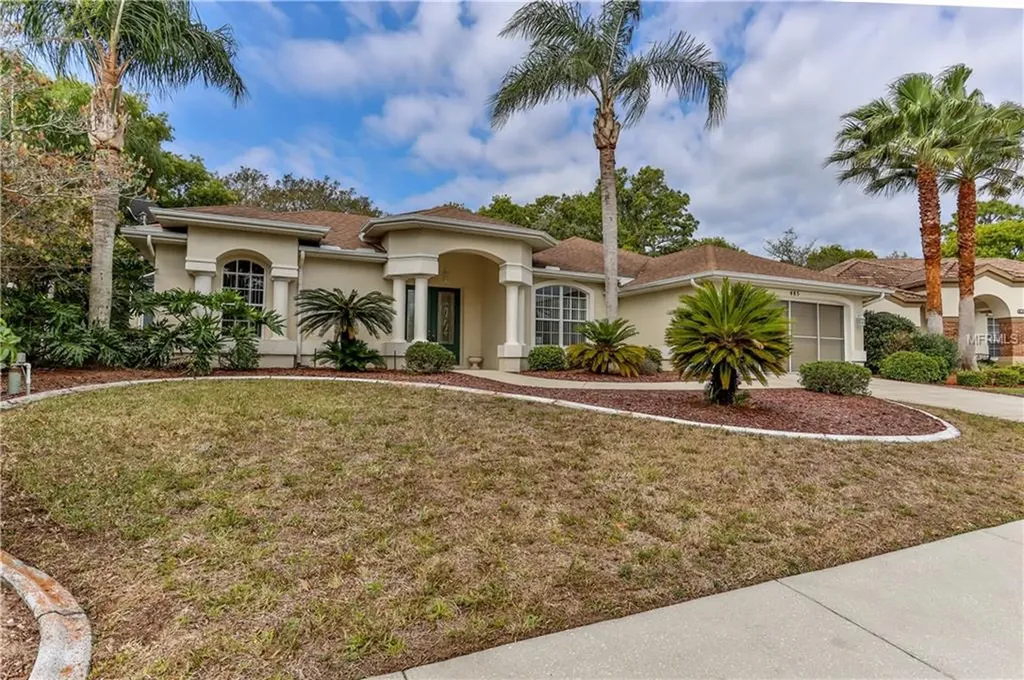 485 Rio Vista Court Spring Hill FL 34608