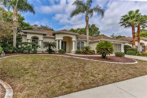 485 Rio Vista Court Spring Hill FL 34608