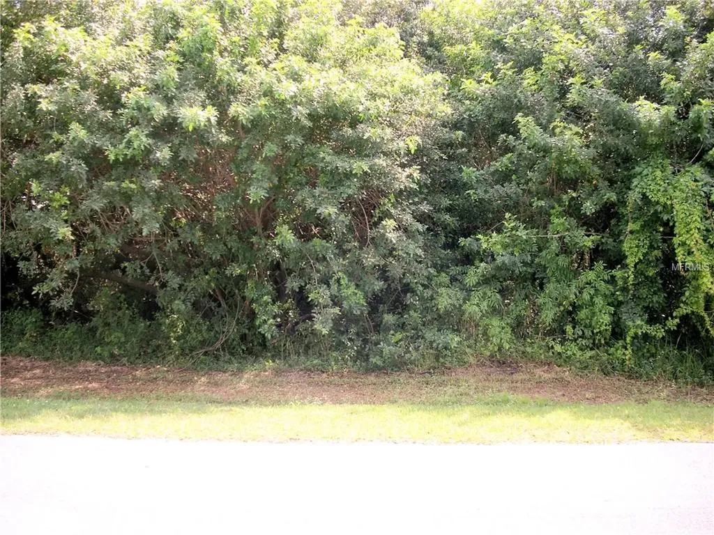 914 Alsace Drive Kissimmee FL 34759