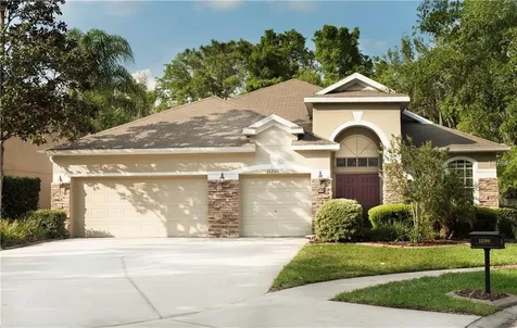 15206 Shearcrest Drive Lithia FL 33547