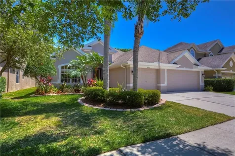 11605 Renaissance View Court Tampa FL 33626