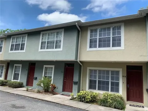5858 Nature Terrace Cove Tampa FL 33617