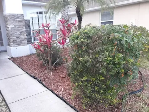 1991 Willow Wood Drive Kissimmee FL 34746