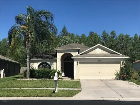 31211 Wrencrest Drive Wesley Chapel FL 33543