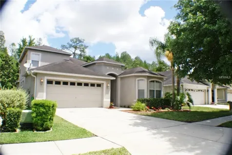15841 Pond Rush Court Land O Lakes FL 34638