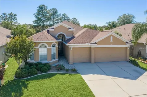3631 Brickell Court Land O Lakes FL 34639