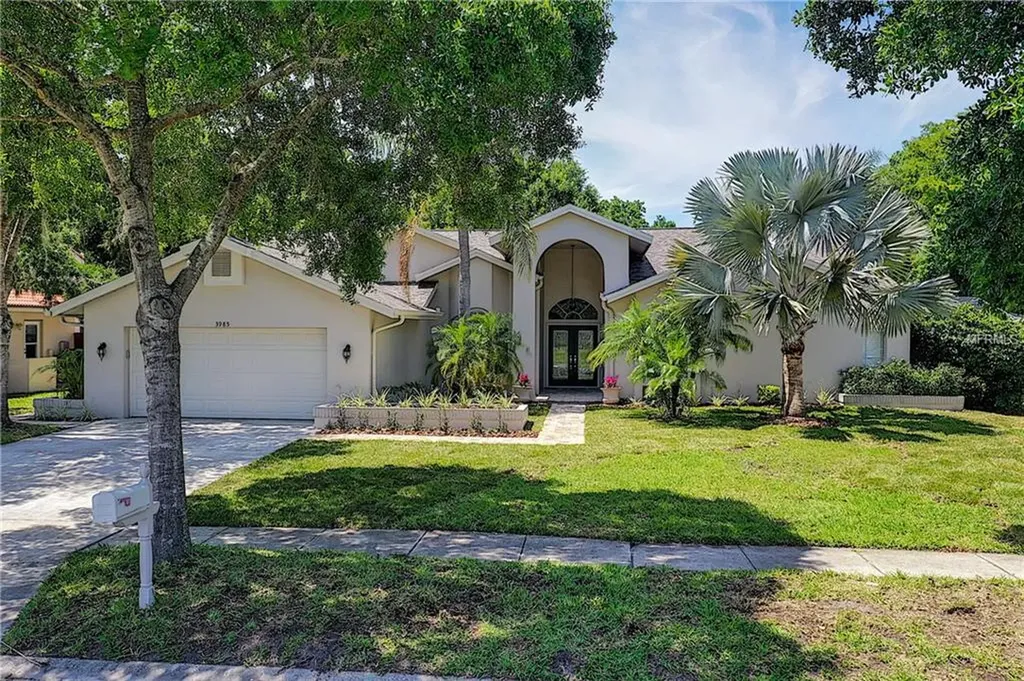 3985 Belmoor Drive Palm Harbor FL 34685