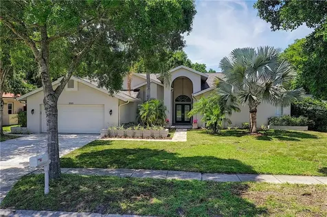 3985 Belmoor Drive Palm Harbor FL 34685