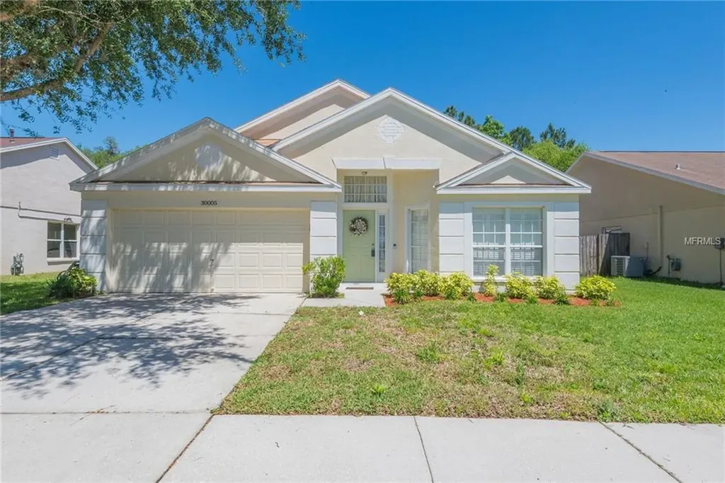 30005 Morningmist Drive Wesley Chapel FL 33543