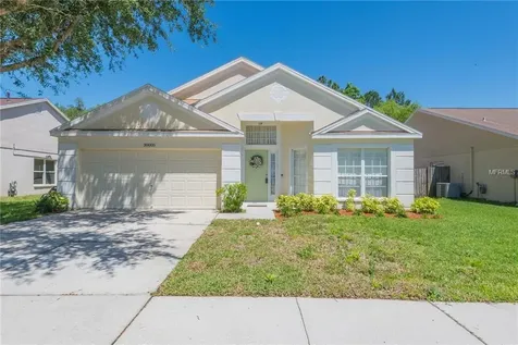 30005 Morningmist Drive Wesley Chapel FL 33543