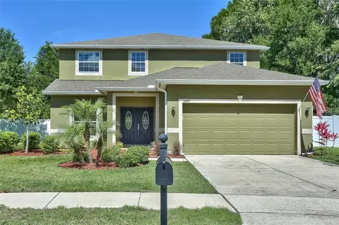 6247 Tigerflower Court Land O Lakes FL 34639