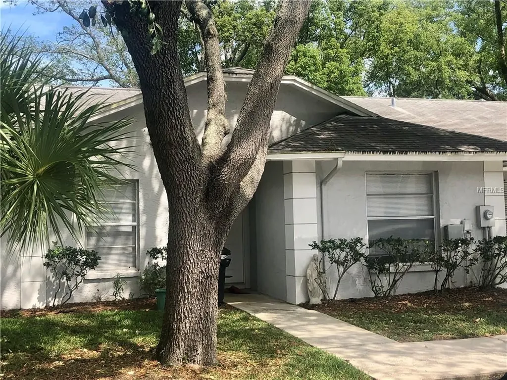 5011 Gainsville Drive Temple Terrace FL 33617