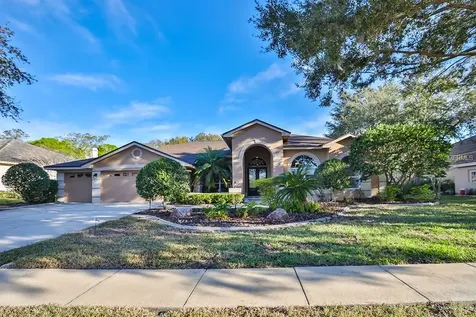 3913 Arlington Drive Palm Harbor FL 34685