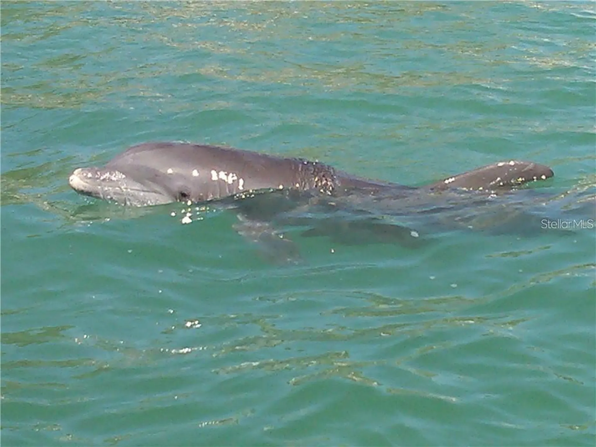 1760 Gulf Boulevard Englewood FL 34223