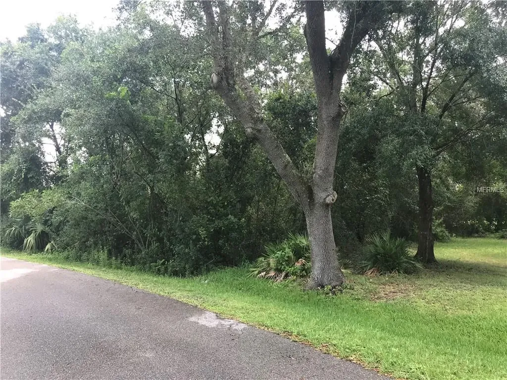 1813 NE Trisha Drive Arcadia FL 34266