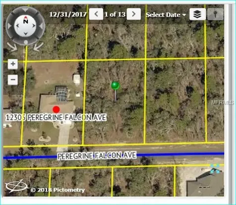 12315 Peregrine Falcon Avenue Weeki Wachee FL 34614