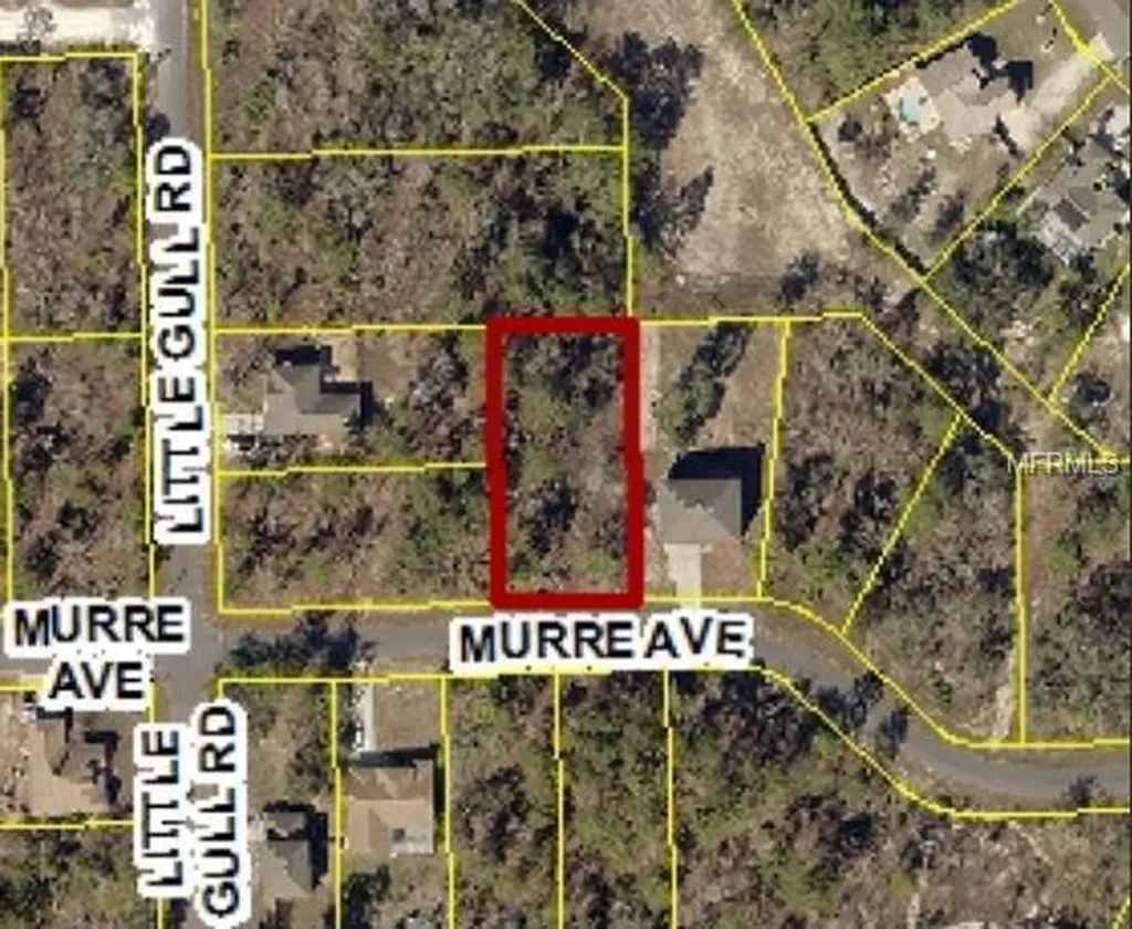 12129 Murre Avenue Weeki Wachee FL 34614
